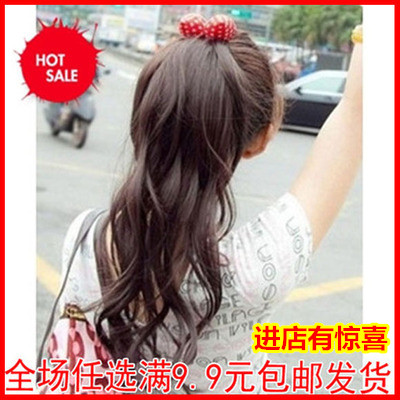 Extension cheveux - Ref 226551 Image 1