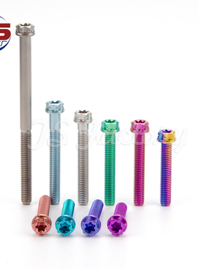 TS摩托电动车内外梅花头磨砂色 M6X65—130mm钛合金螺丝 TC4