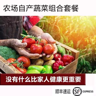 农家肥人工除草无激素 绿色蔬菜套餐 10斤 蔬菜套餐