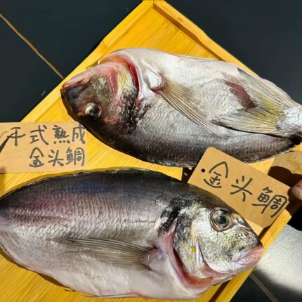 日料店专用干式熟成金雕鱼切块刺身鱼原料熟成鱼批发真空包装