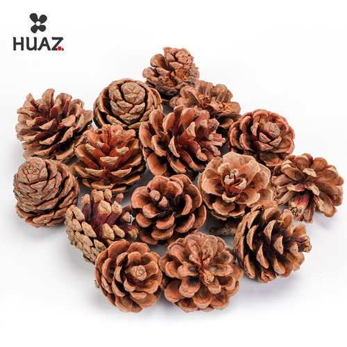天然松果松塔干花干树枝儿童手工