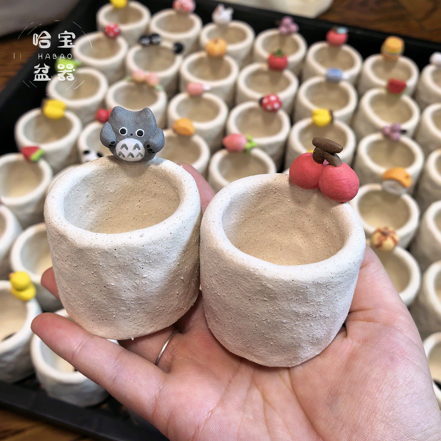 哈宝丨手工粗陶拇指素烧盆可爱卡通多肉肉锥透气控型盆一物一拍