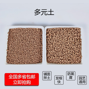 多元土多肉生根利器多元素营养土花卉植物铺面石纯颗粒球球活力土