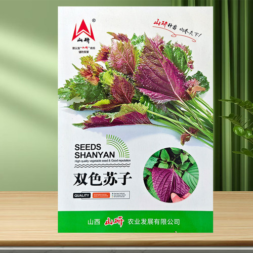 蔬菜四季韩国盆栽可食用苏子叶