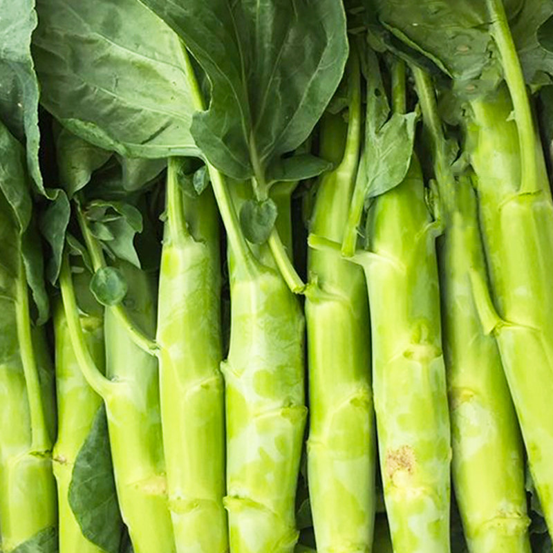 早熟四季大笋芥兰种子芥蓝种籽甜脆春夏秋冬阳台盆栽蔬菜种孑包邮