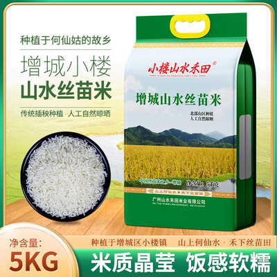 广东小楼山水禾田增城山水丝苗米5kg送礼长粒香生态岭南一级大米