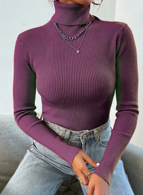 2025 Autumn Winter Women Long Sleeve Knitted Foldover Turtle