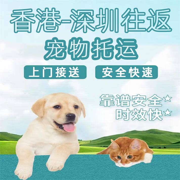 深圳去香港往返宠物托运出回国转宠物托运