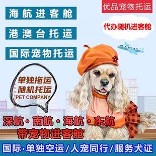 宠物托运随机进客舱海南东航香港美国际空运输防检疫证手续猫狗兔