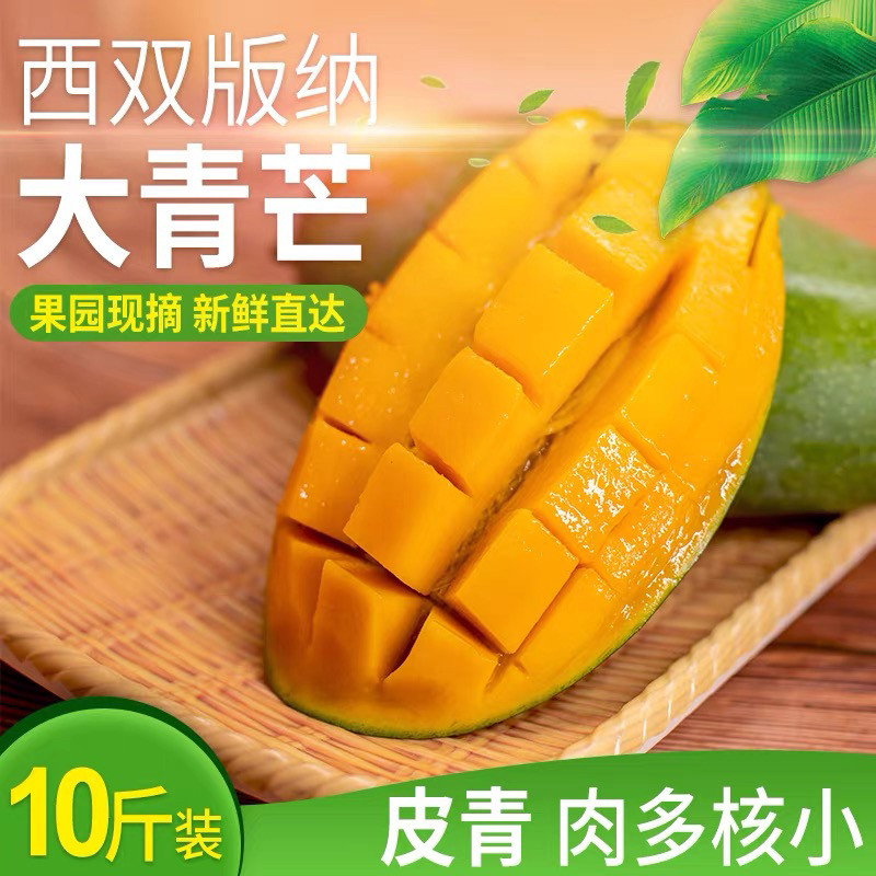 正宗大青芒西双版纳超甜新鲜芒果越南水果当季云南树熟现摘现发