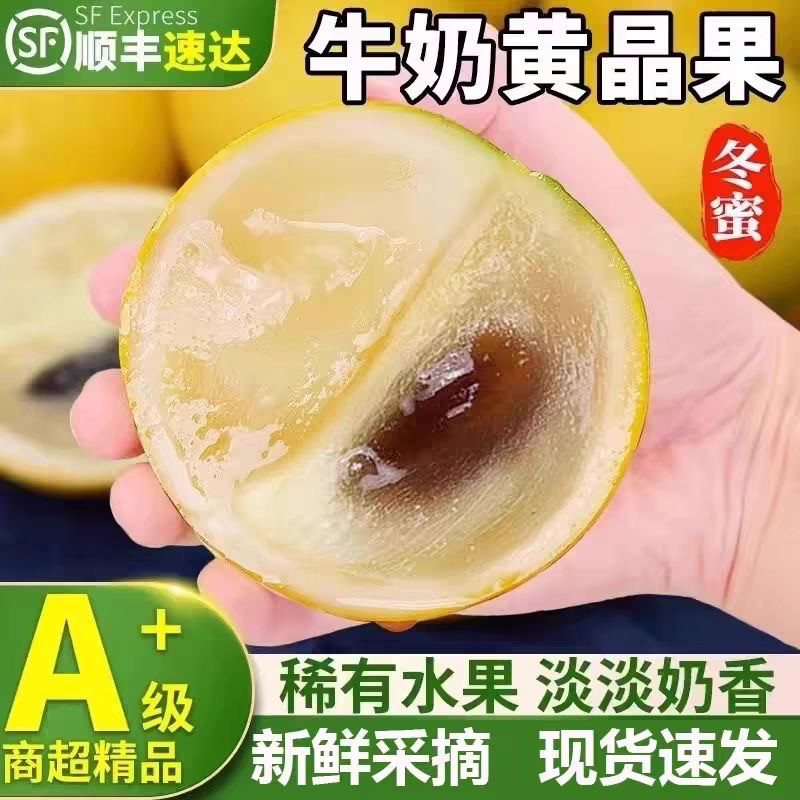 顺丰云南冬蜜黄晶果新鲜黄金果西双版纳雅美果黄金牛奶果孕妇水果