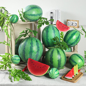 仿真西瓜模型假西瓜片水果蔬菜摄影居家装 饰道具玩具西瓜藤西瓜叶