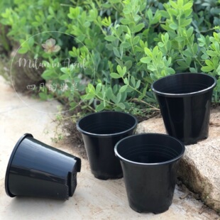 原装进口15cm种植花盆光滑耐用约一加仑盆底网眼多透气性好