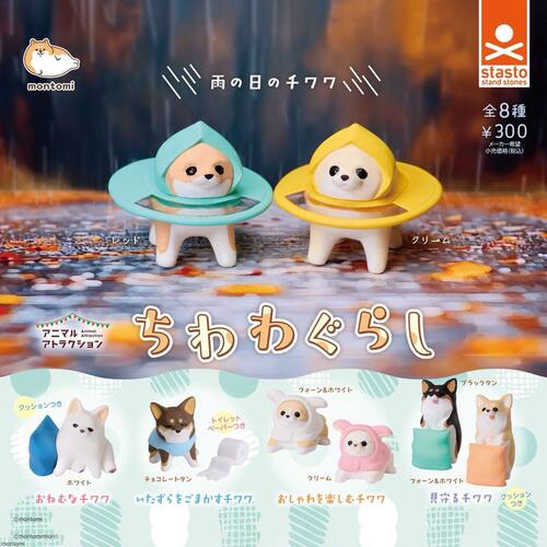 日本正版 迷你吉娃娃的日常 摆件STASTO扭蛋
