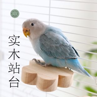 鹦鹉实木站台鸟跳板牡丹虎皮玄凤文鸟跳台站板磨爪攀爬玩耍鸟玩具