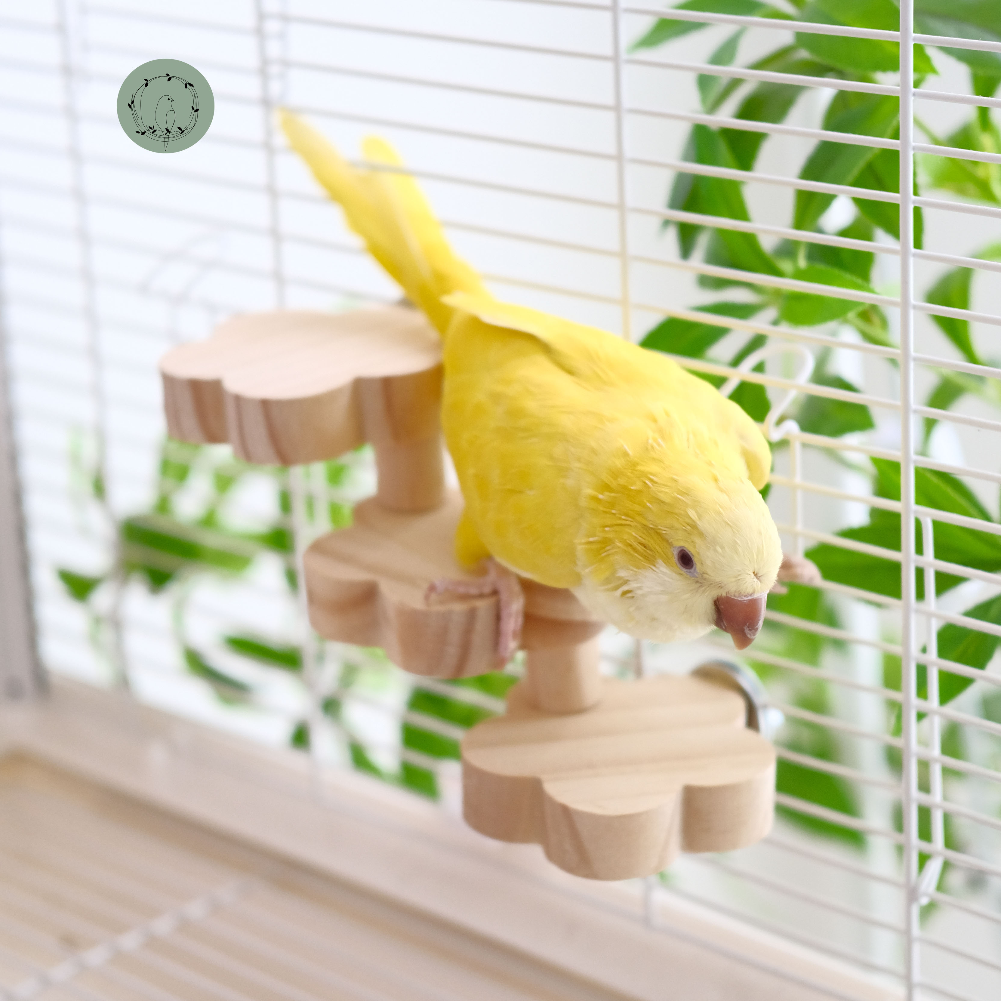 鹦鹉阶梯站台玩具木梯站架鸟用品