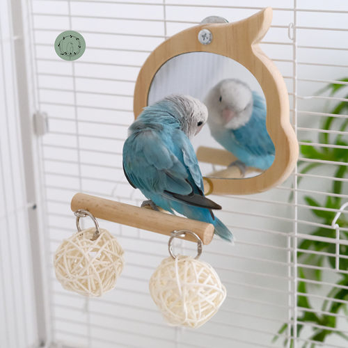 鹦鹉全身镜子原木镜子站架鸟玩具