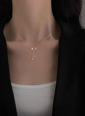 流苏蝴蝶项链女轻奢小众设计感锁骨链2025新款爆款潮