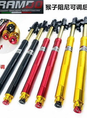 佛兰多MSX125X战警怪兽猴子M3M5M6Z6速珂TS 猴子中置分离气瓶后减