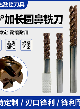 数控刀具/进口钨钢铣刀/合金刀/60度加长4MM-20MM4F圆鼻刀铣刀