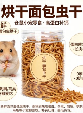 无盐面包虫干仓鼠零食