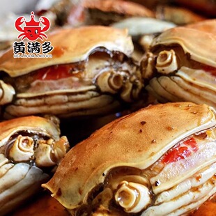 犒赏 黄满多秘制香辣蟹 蒜泥蟹 味觉