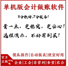 2022年会计制度Excel代账做账记账财务软件工会民间非营盈利系统