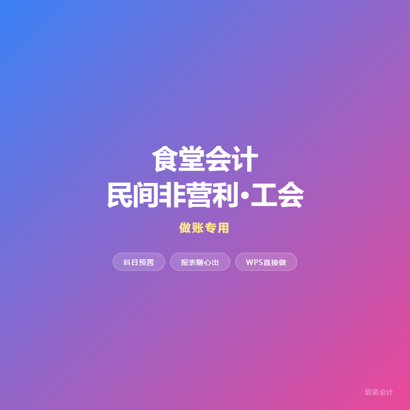 食堂会计民间非营利工会村集体做账软件内置科目自动报表永久买断