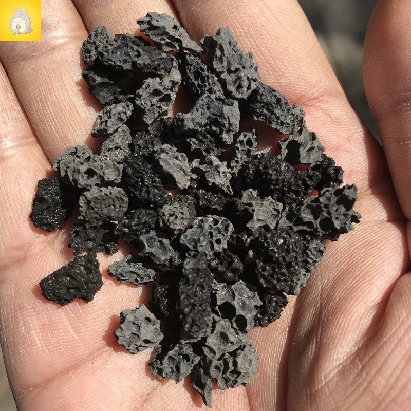 【龙猫园艺】多肉伴土黑色火山石介质 黑色火山岩颗粒 颗粒均匀,鲜花速递/花卉仿真/绿植园艺,介质/营养土,淘宝优惠券,粉丝福利购,淘宝优惠卷