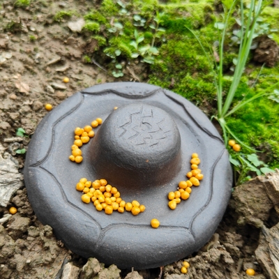 黄缘龟乌龟喂食盘半水龟喂食龟苗专用陶土圆形喂食器餐盘食台食盆