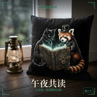 饰原创 魔法哥特风抱枕暗夜黑猫咪水洗棉沙发靠腰枕垫套含芯主题装