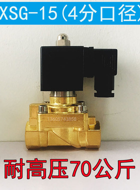 4分DN15耐高压70公斤吹瓶机电磁阀 XSG-15 耐高压空气电磁阀7MPA