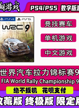数字版世界汽车拉力锦标赛9PSN