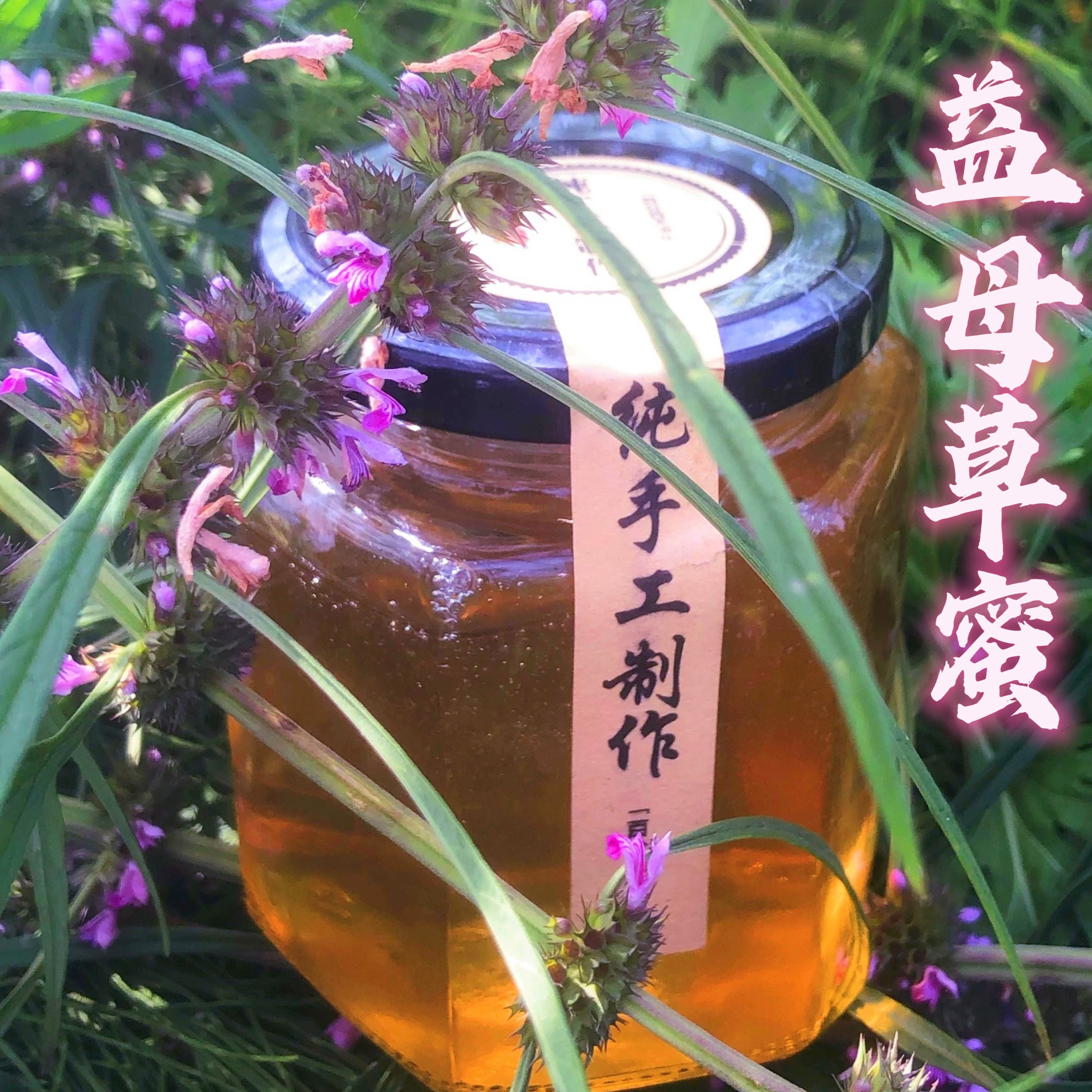 益母草蜜新 女士佳品 姨妈期好物正宗天然野生100%益母草蜂蜜