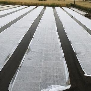 水稻育秧无纺布保温薄膜