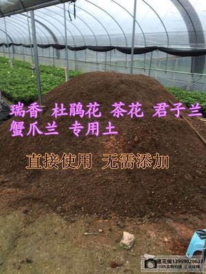 花卉专用土椰糠土杜鹃花蟹爪兰土