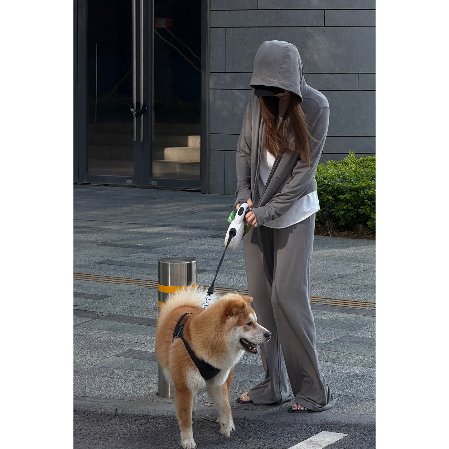 CHU楚妞[代尔]莫代尔弹力棉空气感2026春夏季新款女卫衣卫裤套装