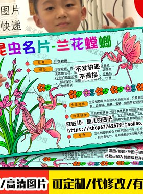 昆虫记兰花螳螂名片手抄报昆虫记介绍卡档案电子小报模版线稿