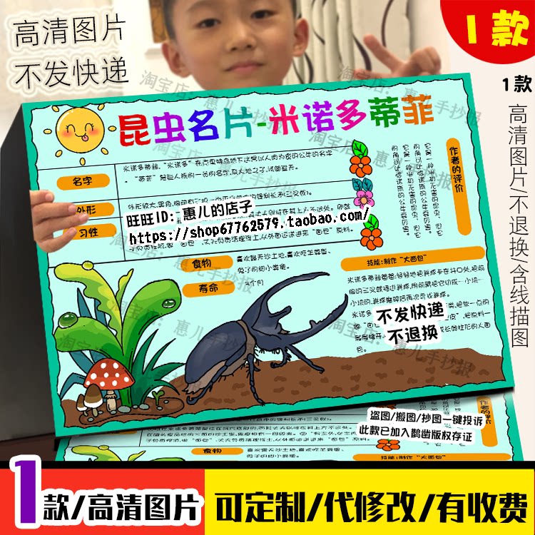 昆虫记米诺多蒂菲名片手抄报昆虫记介绍卡档案电子小报模版线稿