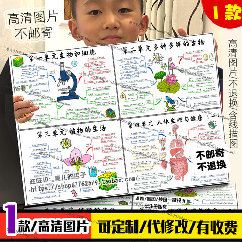 七年级上下册生物思维导图手抄报细胞多种多样的生物植物的生活