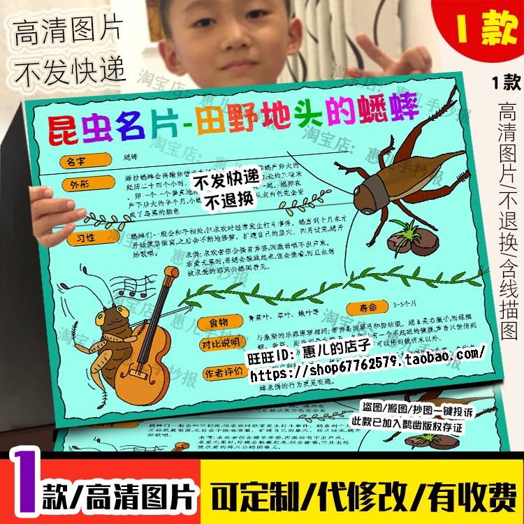 蟋蟀昆虫名片手抄报昆虫观察记录田野地头的蟋蟀自然笔记电子小报
