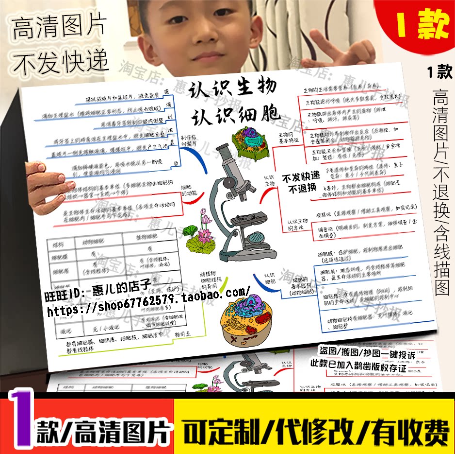 七年级上册认识生物认识细胞思维导图手抄报第一单元一二章小报