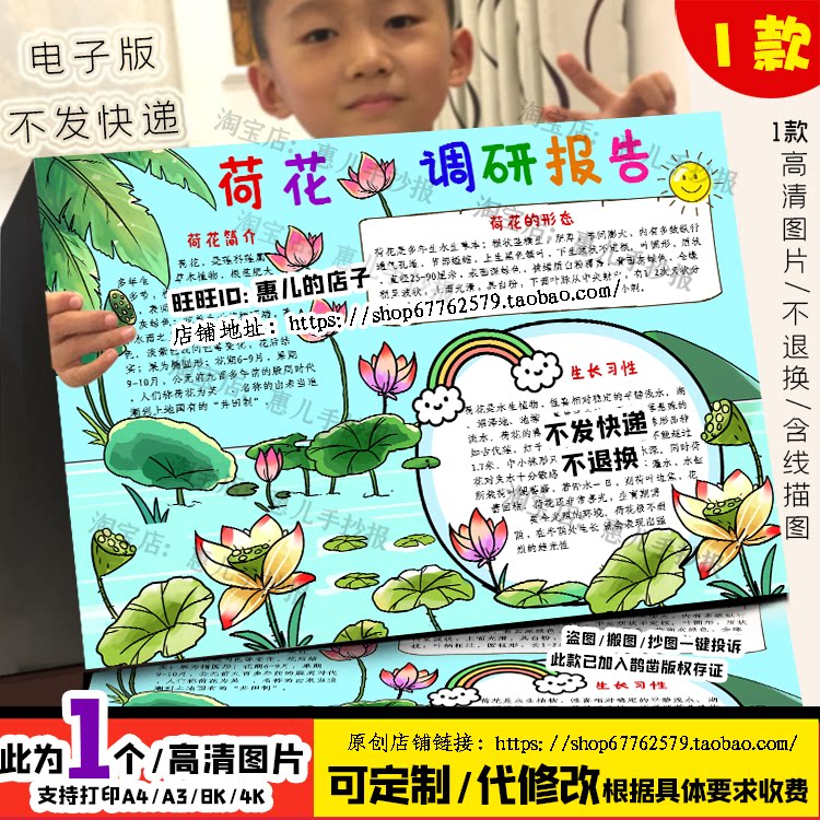 荷花名片手抄报调研报告植物生活习性生长环境电子小报线稿涂色