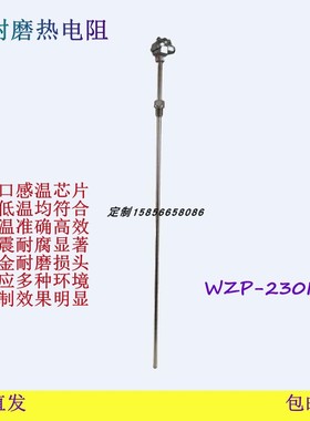 耐磨热电阻WZP-230NM/WZPKM/WZPNN/WZPN/NKWZP-231NM/232NM/233NM
