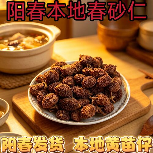 阳春正宗春砂仁 阳春砂仁 特级精选黄苗仔火焙春砂仁养胃健脾煲汤
