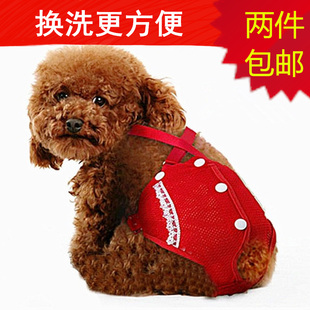 小狗狗生理裤泰迪柯基比熊背带月经安全裤宠物用品姨妈裤