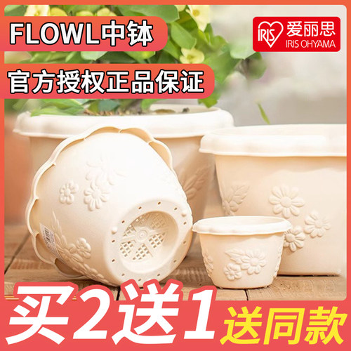 爱丽丝花盆中钵加仑植物控根创意绿萝多肉兰花塑料树脂爱丽思盆
