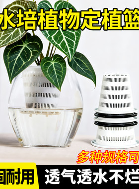 龟背水培篮植物固定篮塑料圆形树脂大鱼缸水养花盆控根种植内挂篮