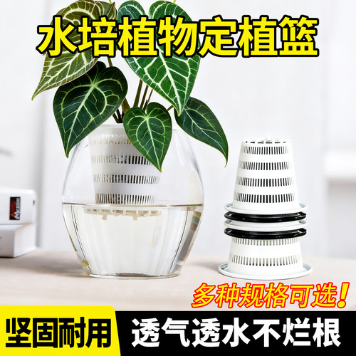 龟背水培篮植物固定篮塑料圆形树脂大鱼缸水养花盆控根种植内挂篮