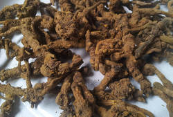 四川峨眉山特产黄莲川黄连 野连味连鸡爪连 100克